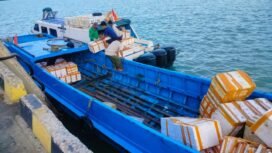 Ilustrasi : Kapal kayu pengangkut ikan yang bersandar di Dermaga SKPT Sebatik. Dok.Suparmoko.