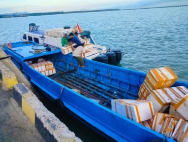 Ilustrasi : Kapal kayu pengangkut ikan yang bersandar di Dermaga SKPT Sebatik. Dok.Suparmoko.