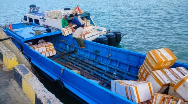 Ilustrasi : Kapal kayu pengangkut ikan yang bersandar di Dermaga SKPT Sebatik. Dok.Suparmoko.