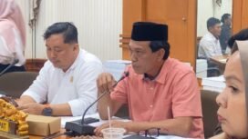 Anggota DPRD Nunukan, Mansur Rincing, merekomendasikan pembentukan Panitia Khusus/Pansus untuk menyikapi tuduhan ingkar janji PT Nunukan Bara Sukses (NBS) terhadap Masyarakat Adat Dayak Tenggalan, di Kecamatan Sebuku. 