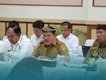 Wagub Kaltara, Ingkong Ala, saat Rakor bersama Kementerian ESDM membahas Listrik Desa untuk pelosok Kaltara. Dok.Biro Adpim Kaltara.