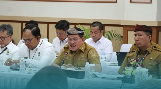 Wagub Kaltara, Ingkong Ala, saat Rakor bersama Kementerian ESDM membahas Listrik Desa untuk pelosok Kaltara. Dok.Biro Adpim Kaltara.