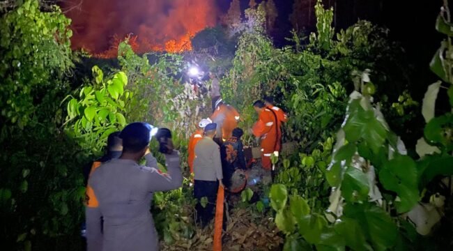 Sejumlah lahan yang berada di Jalan Lapas Nunukan dan Jalan Anastasia Wijaya, Nunukan Selatan, Nunukan, Kalimantan Utara, terbakar hebat pada Minggu (10/5/2026). Dok.BPBD Nunukan.