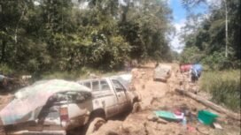 Mobil gardan ganda yang mengangkut kebutuhan warga Krayan. Supir harus terus berjibaku melawan jebakan lumpur. Dok.Oktafianus Ramli.