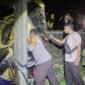 Sebuah truk perusahaan kelapa sawit di Sembakung Atulai mengalami laka lantas di tikungan Jembatan Mambulu dan menewaskan dua orang. Dok.Polres Nunukan.