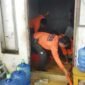 Sejumlah petugas BPBD Nunukan membantu menyedot genangan banjir di rumah warga Pulau Sebatik. Hujan deras Senin (13/7/2026) dini hari mengakibatkan sejumlah sungai meluap dan membanjiri 4 kecamatan di perbatasan RI - Malaysia ini. Dok.BPBD Nunukan.