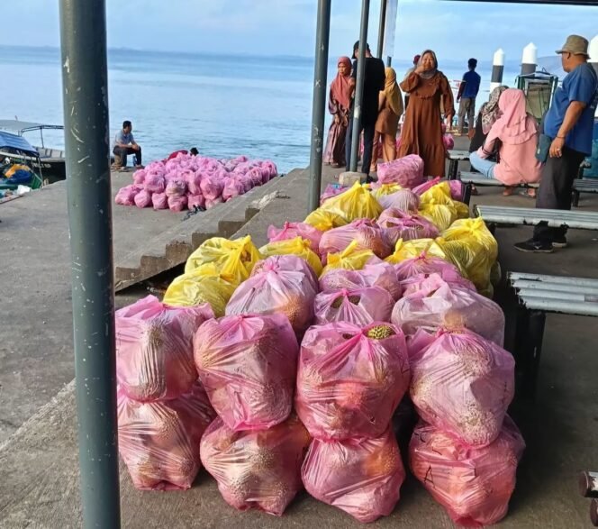 
					Puluhan plastik buah durian yang akan dikirim ke Tawau Malaysia melalui Pulau Sebatik. Dok.Asdar.