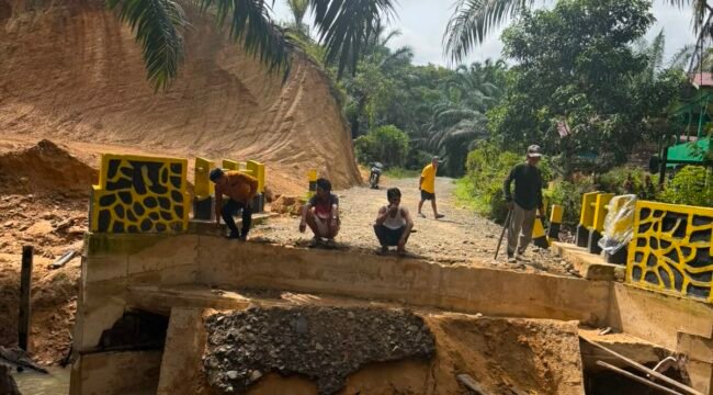 Kerusakan Jembatan Sei Batang di Desa Tanjung Karang, Pulau Sebatik, Nunukan, Kalimantan Utara, yang terjadi sejak Minggu (26/7/2026) lalu, berimbas pada hasil Tandan Buah Segar (TBS) Kelapa Sawit dan akses anak anak sekolah di perbatasan RI – Malaysia. Dok.Hamsing.