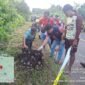 Sesosok jasad bayi perempuan ditemukan tewas membusuk di semak semak pinggir jalan, di perbatasan antara Desa Padaidi dengan Desa Sungai Manurung, Pulau Sebatik, Nunukan, Kalimantan Utara, Minggu (23/8/2026) sekitar pukul 17.41 wita. Dok.Polsek Sebatik Timur.