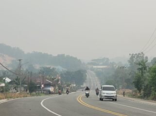 Dampak Karhutla di Bulungan sampai di Nunukan. Terlihat kabut asap lumayan pekat di jalan utama Nunukan.