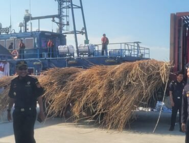 Bea Cukai memamerkan rotan memtah seberat 99,5 ton dengan nilai ekonomi sekitar Rp 4,2 juta yang akan diekspor ilegal ke Malaysia. Penyidik menetapkan nakhoda dan juru mudi sebagai tersangka. 