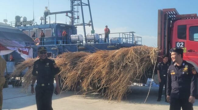 Bea Cukai memamerkan rotan memtah seberat 99,5 ton dengan nilai ekonomi sekitar Rp 4,2 juta yang akan diekspor ilegal ke Malaysia. Penyidik menetapkan nakhoda dan juru mudi sebagai tersangka. 