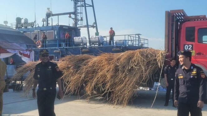 
					Bea Cukai memamerkan rotan memtah seberat 99,5 ton dengan nilai ekonomi sekitar Rp 4,2 juta yang akan diekspor ilegal ke Malaysia. Penyidik menetapkan nakhoda dan juru mudi sebagai tersangka. 