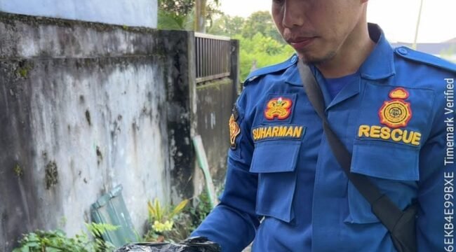 Petugas Damkar menunjukkan gigi palsu Ibu Samsiah (61) yang jatuh dan masuk pipa saluran pembuangan air kotor. Dok.Disdamkar Nunukan.
