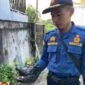 Petugas Damkar menunjukkan gigi palsu Ibu Samsiah (61) yang jatuh dan masuk pipa saluran pembuangan air kotor. Dok.Disdamkar Nunukan.
