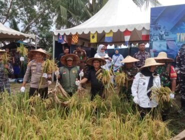 Ilustrasi : Ketua Komisi II DPRD Kabupaten Nunukan, Andi Fajrul Syam, SH, menghadiri kegiatan panen padi dalam rangka program Ketahanan Pangan TNI Angkatan Laut di wilayah Kelurahan Mansapa, Kecamatan Nunukan Selatan,Dok.Penerangan LANAL Nunukan.