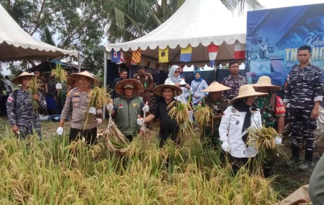
					Ilustrasi : Ketua Komisi II DPRD Kabupaten Nunukan, Andi Fajrul Syam, SH, menghadiri kegiatan panen padi dalam rangka program Ketahanan Pangan TNI Angkatan Laut di wilayah Kelurahan Mansapa, Kecamatan Nunukan Selatan,Dok.Penerangan LANAL Nunukan.