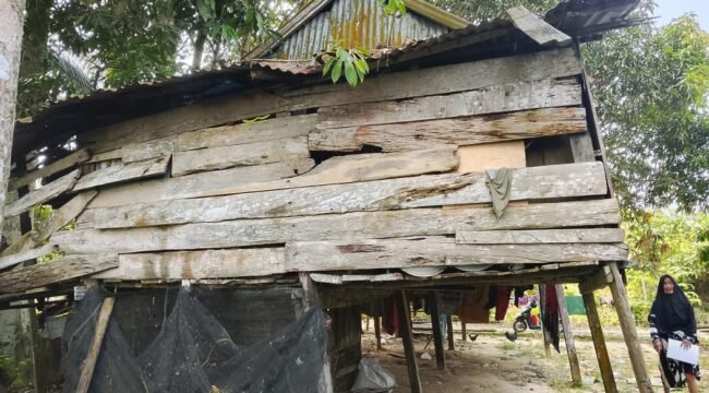 Rumah Lansia bernama Ibu Ringgi (63) warga Jalan Jagung Manis, Kelurahan Mansapa, Nunukan Selatan. Ibu Ringgi tak menerima bantuan rehab rumah karena terdata sebagai Desil 6-10. Dok.Andi Fajrul.