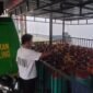 Tumpukan LPG 14 Kg asal Malaysia di Kejari Nunukan. LPG tersebut merupakan barang bukti perkara pemasukan dan penjualan ilegal yang melibatkan Jusli, warga Desa Mansalong, Lumbis.