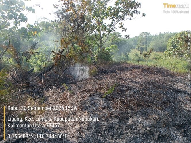 
					Kebakaran yang membakar 3 hektar lahan di Desa Tulang, Sembakung Atulai, berhasil dijinakkan BPBD dan Damkar. Dok.BPBD Nunukan.