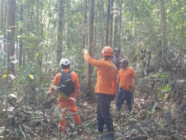 Sejumlah petugas BPBD melakukan penyisiran kebun dan hutan di Seimanggaris, mencari keberadaan Saharuddin yang dilaporkan hilang sejak Sabtu (26/9/2026). Dok.BPBD Nunukan.