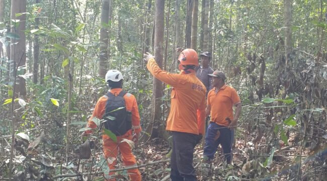 Sejumlah petugas BPBD melakukan penyisiran kebun dan hutan di Seimanggaris, mencari keberadaan Saharuddin yang dilaporkan hilang sejak Sabtu (26/9/2026). Dok.BPBD Nunukan.