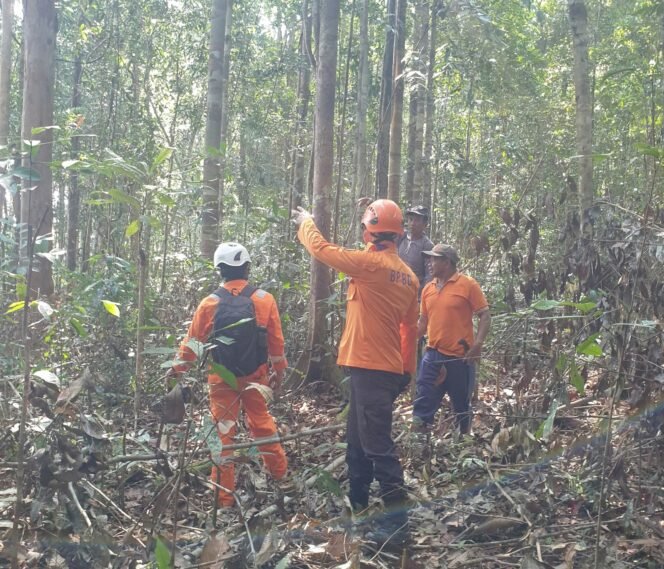 
					Sejumlah petugas BPBD melakukan penyisiran kebun dan hutan di Seimanggaris, mencari keberadaan Saharuddin yang dilaporkan hilang sejak Sabtu (26/9/2026). Dok.BPBD Nunukan.