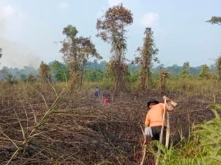 Petugas BPBD menarik selang air saat berupaya menjangkau lahan persawahan yang terbakar. Dok.BPBD Nunukan.