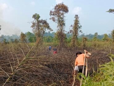 Petugas BPBD menarik selang air saat berupaya menjangkau lahan persawahan yang terbakar. Dok.BPBD Nunukan.