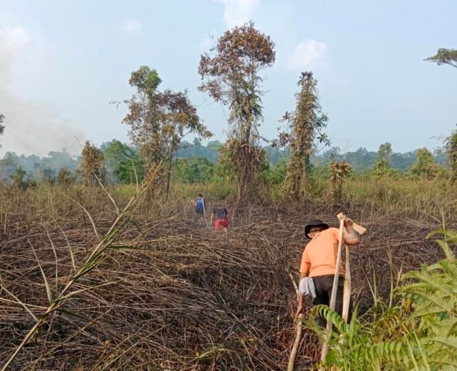 
					Petugas BPBD menarik selang air saat berupaya menjangkau lahan persawahan yang terbakar. Dok.BPBD Nunukan.