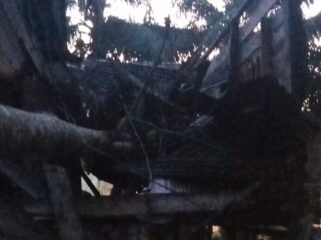 Kondisi dapur rumah Siti Suhela (48) warga Desa Seberang, Pulau Sebatik. Sebuah pohon kapuk roboh dan menghancurkan dapur, Rabu (28/10/2026) menjelang subuh. Dok.Bravo.
