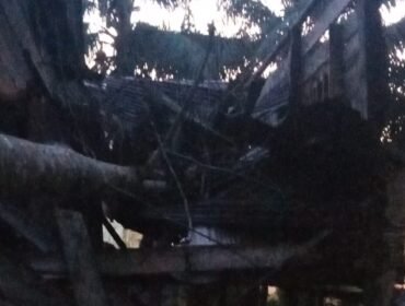 Kondisi dapur rumah Siti Suhela (48) warga Desa Seberang, Pulau Sebatik. Sebuah pohon kapuk roboh dan menghancurkan dapur, Rabu (28/10/2026) menjelang subuh. Dok.Bravo.
