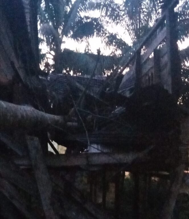 
					Kondisi dapur rumah Siti Suhela (48) warga Desa Seberang, Pulau Sebatik. Sebuah pohon kapuk roboh dan menghancurkan dapur, Rabu (28/10/2026) menjelang subuh. Dok.Bravo.