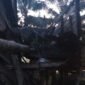 Kondisi dapur rumah Siti Suhela (48) warga Desa Seberang, Pulau Sebatik. Sebuah pohon kapuk roboh dan menghancurkan dapur, Rabu (28/10/2026) menjelang subuh. Dok.Bravo.